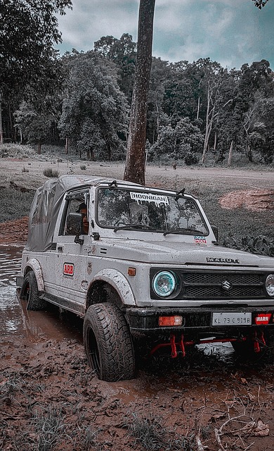 来打开更广 来打开更广